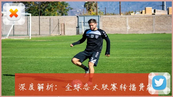 深度解析：全球各大联赛转播费飙升背后的商业逻辑与未来趋势
